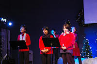 IMGP0352