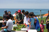 work-IMG 9103-022