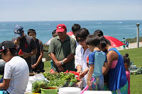work-IMG 9105-024