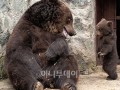 >내이전정병>