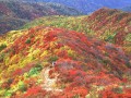 %% 신이 주신 재주 %%